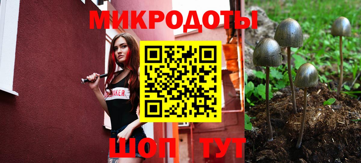 Псилоцибиновые грибы GOLDEN TEACHER  Вход с VPN  Александров  Псилоцибиновые грибы прущие грибы 