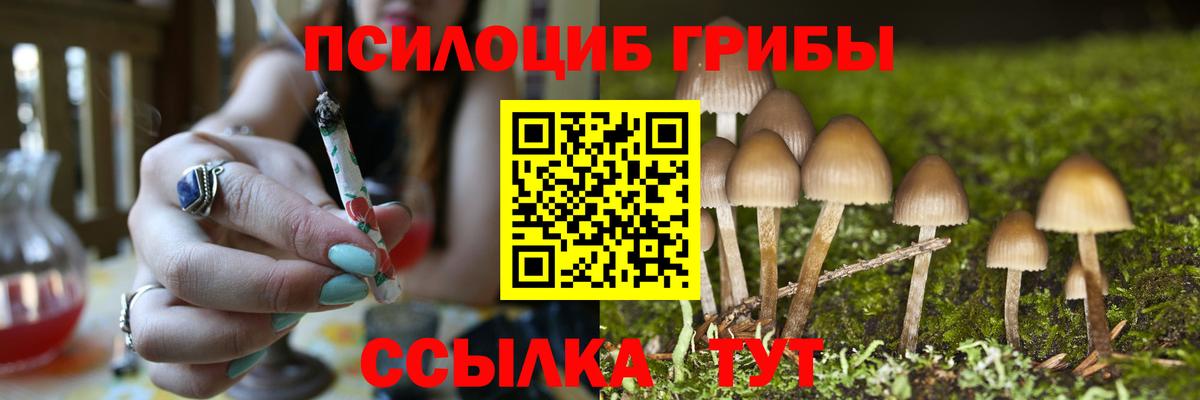 Галлюциногенные грибы мухоморы Александров